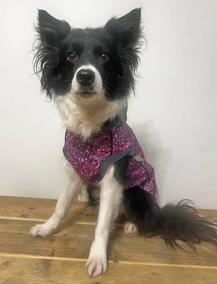 Glenndarcy Planet Pink McTog - Microfleece Waterproof Dog Coat